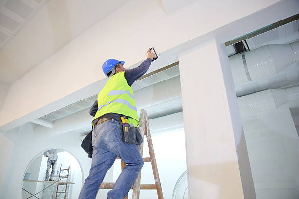 Best Drywall Sanding and Smoothing  in Meadow Vale, KY